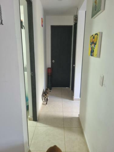 1 Habitaci�n En Apto