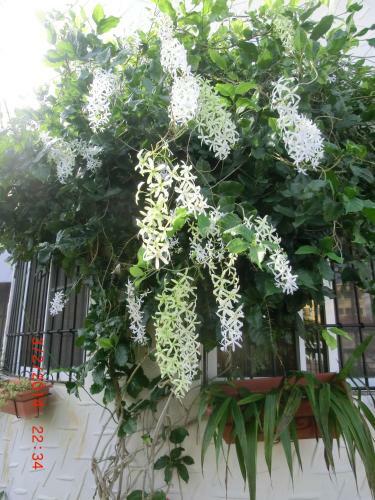Hostal Chambres D�hotes La Romana