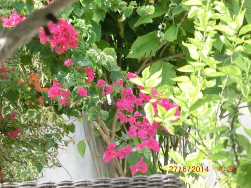Hostal Chambres D�hotes La Romana