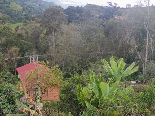 Villa Ecocaba�a Con Jacuzzi Ecocaba�as Byb