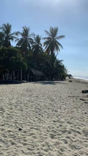 Ocean Front House At Charming Ci�naga!
