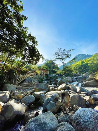 Hotel Hoster�a El Sendero - Cocorn�