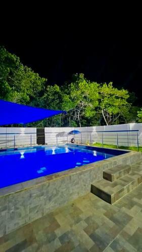 Hotel Palmetto Beach Cove�as