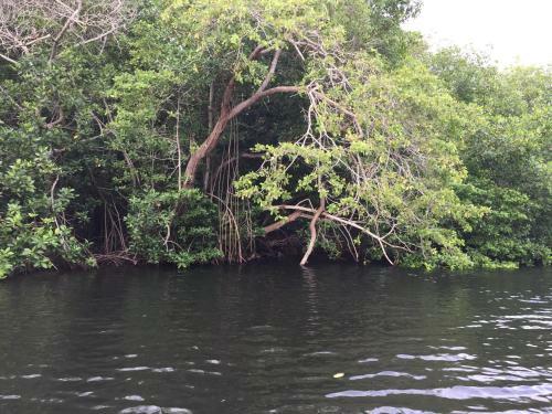 Covenas Colombia Apartment