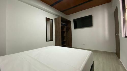Apartamento Confort Quind�o