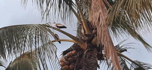 Agroturismo Finca Marat�n Alto