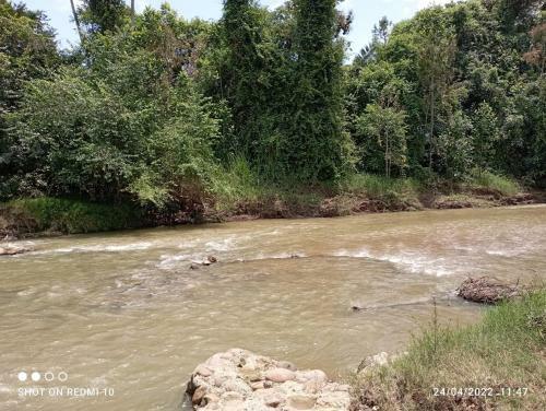 Casa De Campo En Carmen De Apical� Piscina Compartida