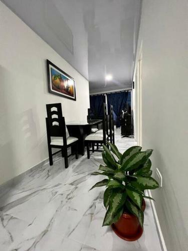 Comodo Apartamento Cartago Valle