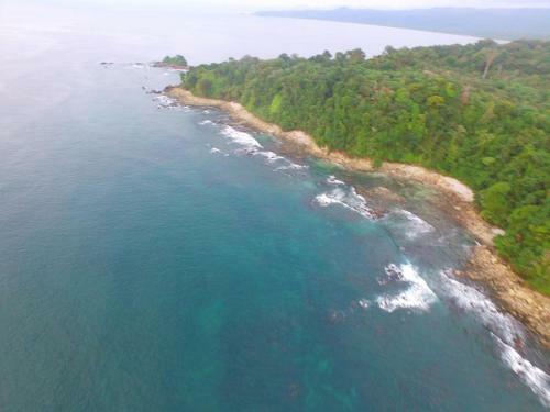 Bed & Breakfast Turqui Paradise