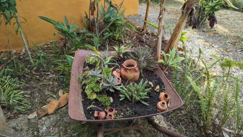 Apartamento El Cocuy