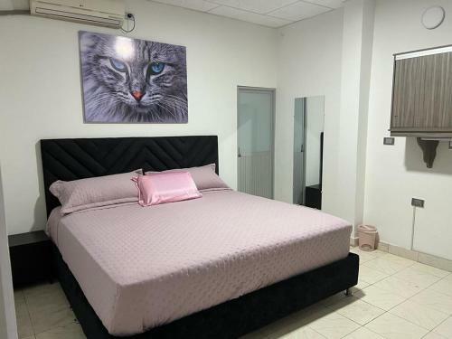 Hostal Cool House 24horas