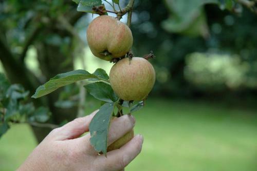 Agroturismo Lough Bishop House Farm Stay