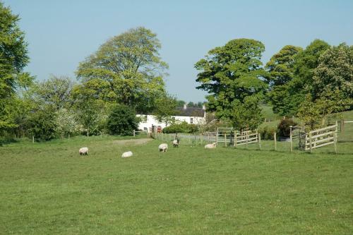 Agroturismo Lough Bishop House Farm Stay