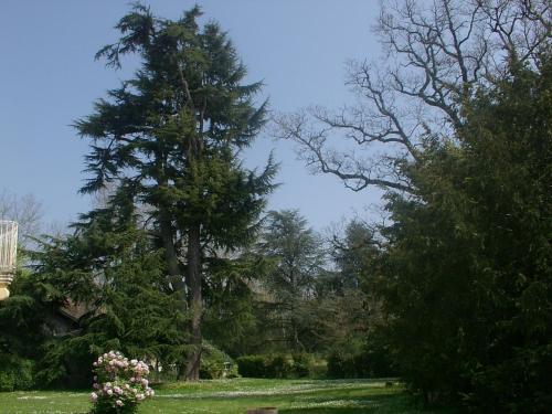 Domaine De Fonroques