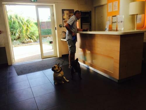 Hotel Ibis Budget Bordeaux Sud