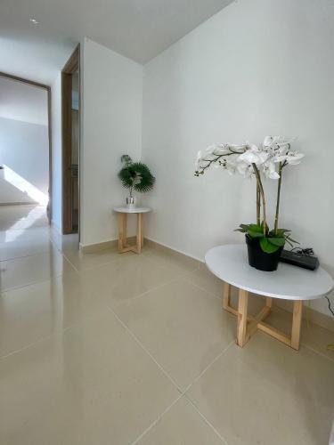 Apartamento Amplio Iluminado 2 Habitaciones