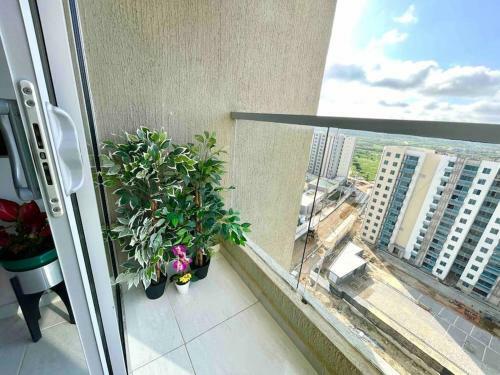 Apartamento Amoblado Zona Norte