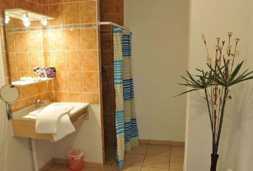 Apartamento R�sidence Appart Hotel Au Pitot
