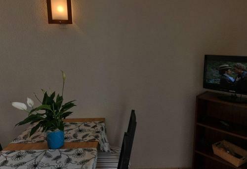 Apartamento R�sidence Appart Hotel Au Pitot