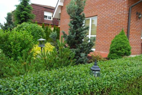 Hostal Penzion Euroclub Praha