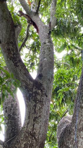 Caba�a Villa Mary-aguachica