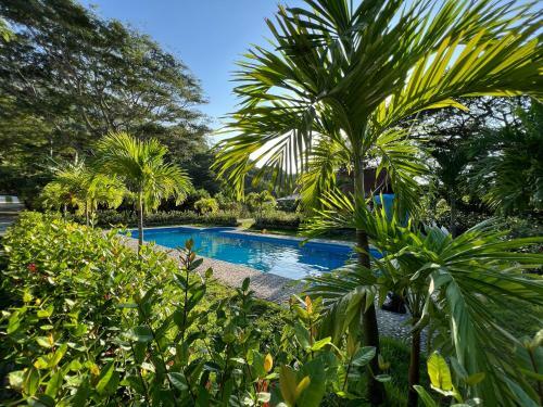 Hotel Tayrona Cachaco River Ecohostal