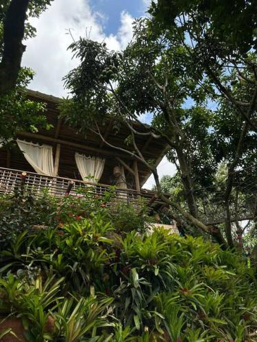 Villa Caba�a Caracas Luxury