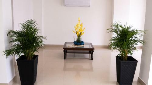 Hotel Arisha Cali