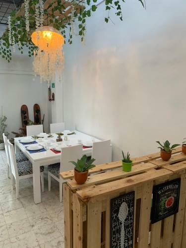 Casa Blanca San Antonio Hostal Boutique