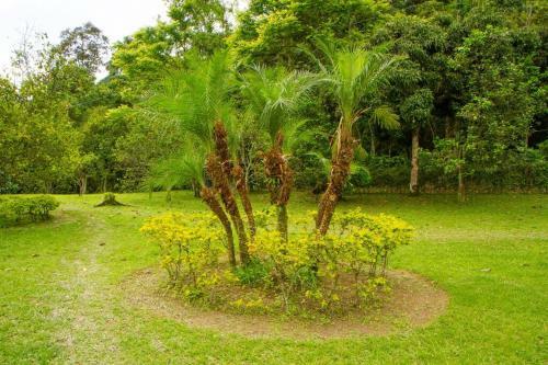Eco Caba�as San Lorenzo