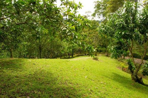 Eco Caba�as San Lorenzo