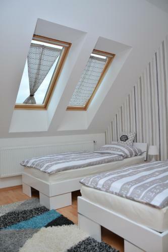 Apartm�n Velk� Losiny