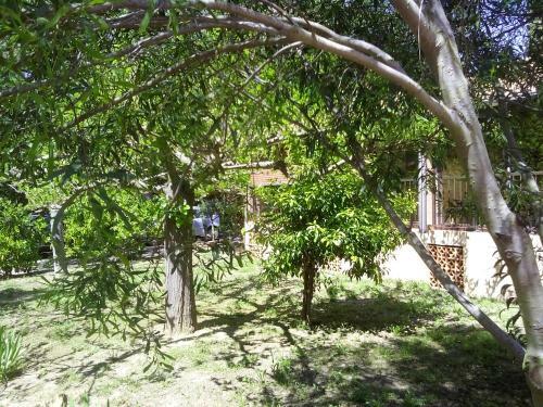 Hotel H�tel Les Palmiers