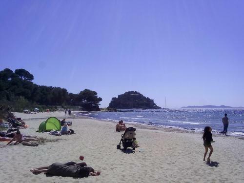 Hotel H�tel Les Palmiers