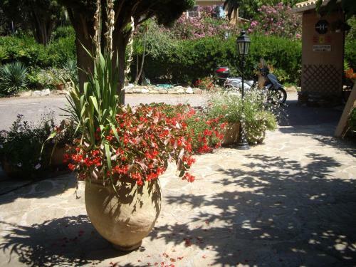 Hotel H�tel Les Palmiers