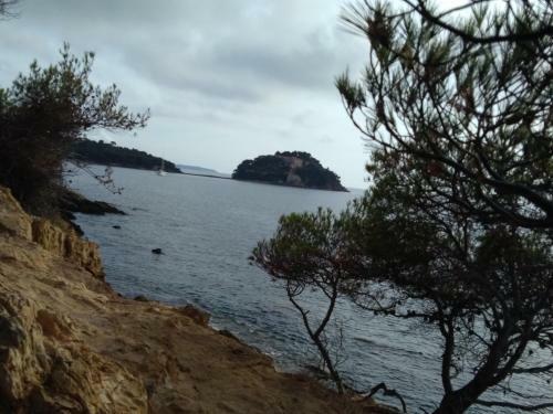 Hotel H�tel Les Palmiers
