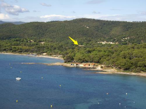 Hotel H�tel Les Palmiers