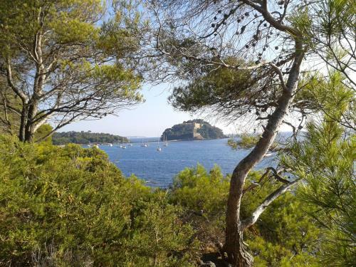 Hotel H�tel Les Palmiers