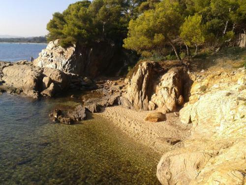Hotel H�tel Les Palmiers