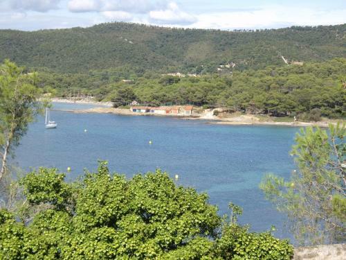 Hotel H�tel Les Palmiers