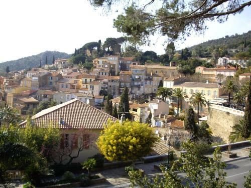 Hotel H�tel Les Palmiers