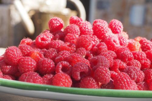 Hotel H�tel Restaurant Le Pradinas