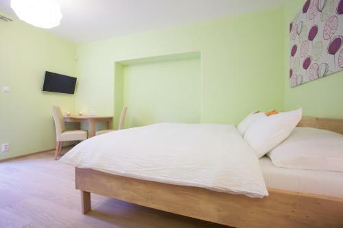 Hostal Penzion U Muzea