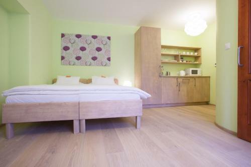 Hostal Penzion U Muzea