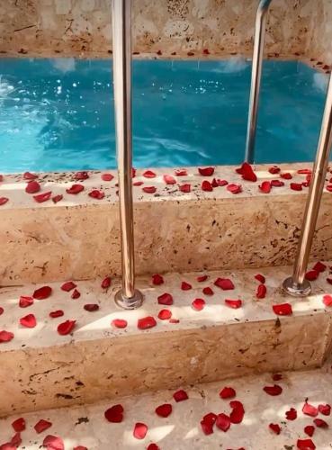 Apartamento Acogedor Con Piscina - House Rouse 14