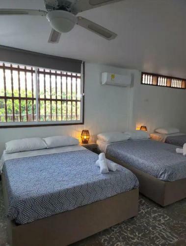 Hotel M4 Econ�mico Est�ndar