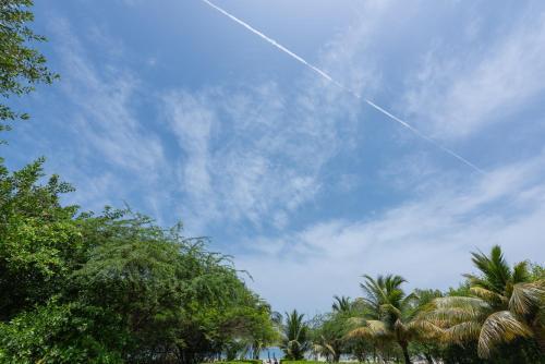 Lujoso Apartamento Con Salida Directa A La Playa Edificio Morros Eco