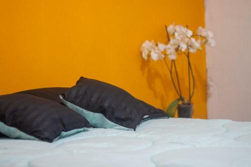 Mico Loco Casa Hostal