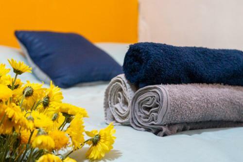 Mico Loco Casa Hostal