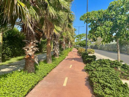 Fantastic Apartment/beach Front Luxury